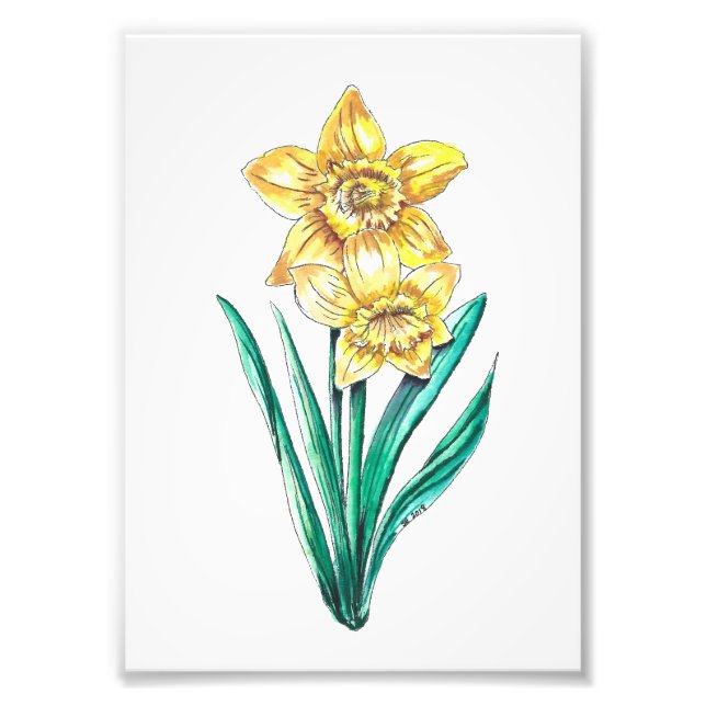 Impression Photo Aquarelle et daffodiques de stylo (Devant)