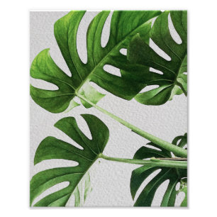 Impression Photo Aquarelle Feuilles verts