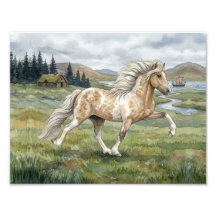Aquarelle Jument islandaise Pinto charismatique