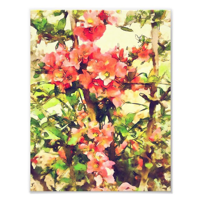 Impression Photo Aquarelle rose rouge Motif floral 1 (Devant)