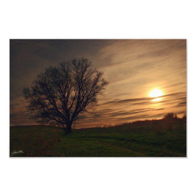 Impression Photo Arbre à coucher (Devant)