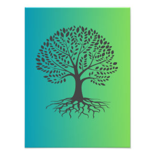 Impression Photo Arbre à racines sur Arrière - plan vert - Nature A