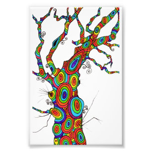 Impression Photo Arbre d'arc-en-ciel - épreuve photographique