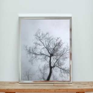 Impression Photo Arbre de la casserole dans le ciel humide