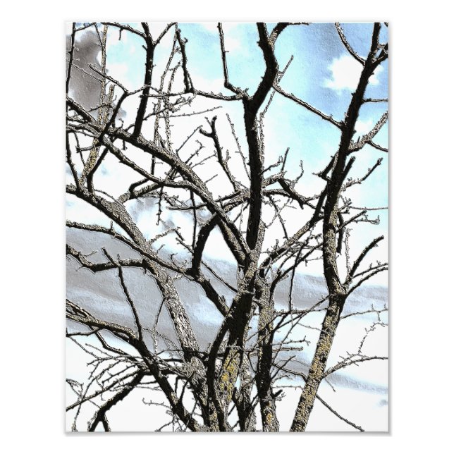 IMPRESSION PHOTO ARBRE D'HIVER (Devant)