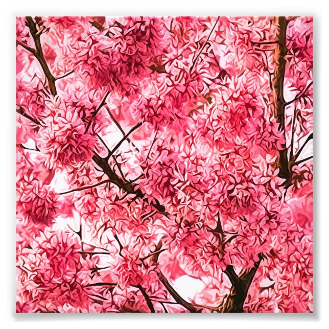 Impression Photo Arbre en fleurs de cerisier japonais (2013) (Devant)