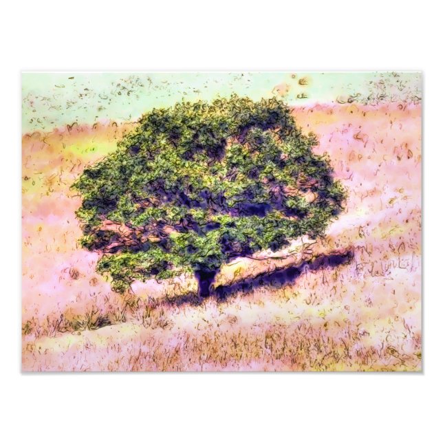 IMPRESSION PHOTO ARBRES (Devant)