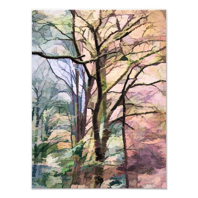 IMPRESSION PHOTO ARBRES D'AUTOMNE (Devant)