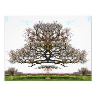 IMPRESSION PHOTO ARBRES DE PRINTEMPS