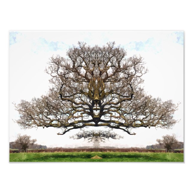 IMPRESSION PHOTO ARBRES DE PRINTEMPS (Devant)