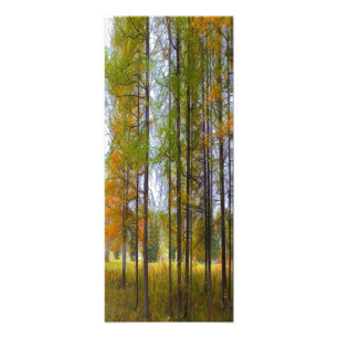 Impression Photo Arbres en automne