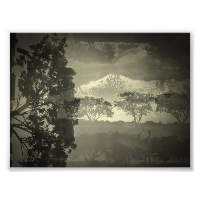 Impression Photo Arbres que je vois. (Devant)