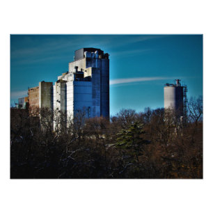 Impression Photo "Arbres : Temps limité seulement"
