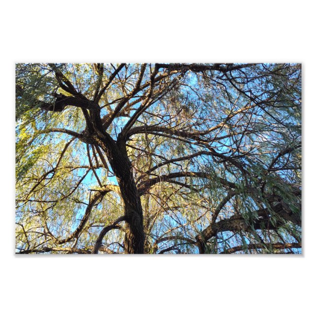 Impression Photo Arcs de lumière (Devant)