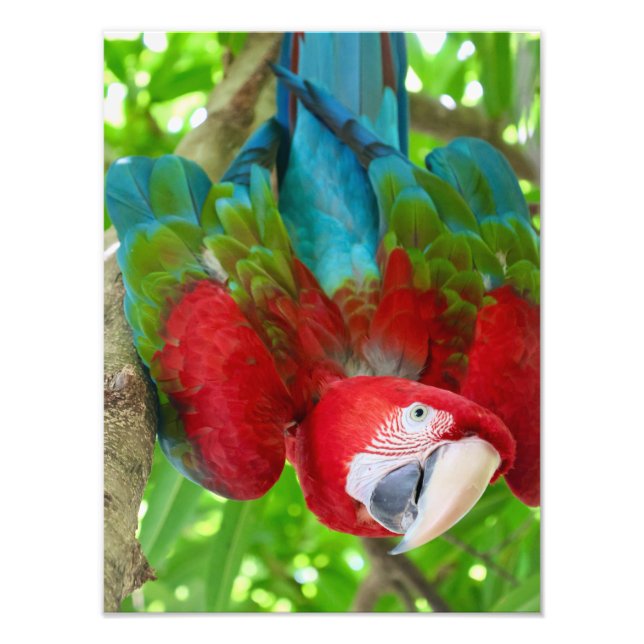 Impression Photo Are you looking at me?  (Devant)