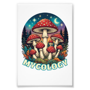 Impression Photo Art champignon de la forêt enchantée