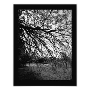 Impression Photo Art de la nature