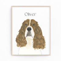 Art du Springer Spaniel Anglais Rouge & Blanc