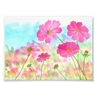 Impression Photo Art Floral Abstrait Cosmos Fleurs sauvages