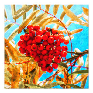Impression Photo Ashberry artistique