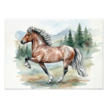 Astrid Tolting aquarelle islandaise