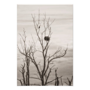 Impression Photo Attente de la vie