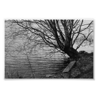 Impression Photo Au bord du lac