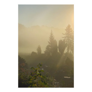 Impression Photo Automne