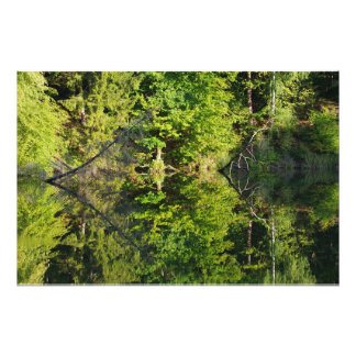 Impression Photo Automne