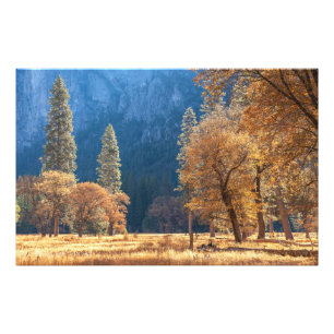 Impression Photo Automne à Meadow