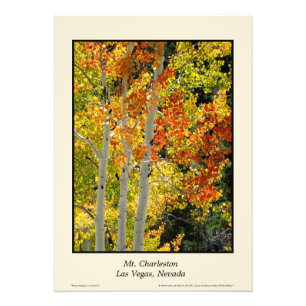 Impression Photo Automne Aspen 20" de Mt. Charleston nanovolt"