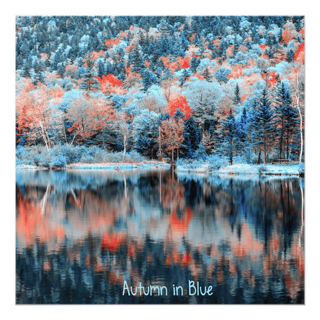 Impression Photo Automne en bleu (Devant)