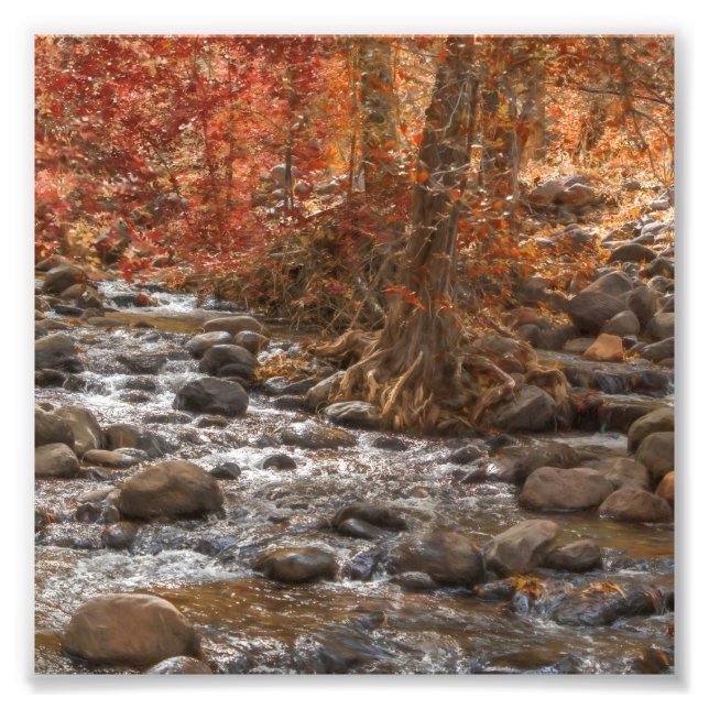 IMPRESSION PHOTO AUTUMN FOREST RIVER SEDONA ARIZONA (Devant)