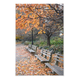Impression Photo Autumn Leaves Riverside Park New York City NYC