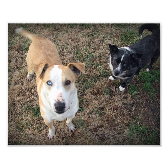 Impression Photo aux yeux bleus et aux yeux bruns (Devant)