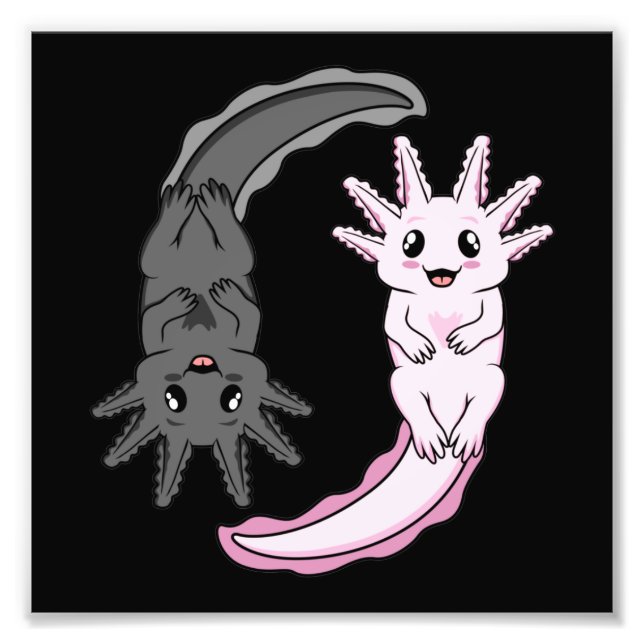 Impression Photo Axolotl Yin Yang Kawaii Animal Axolotls Lover Owne (Devant)