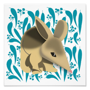 Impression Photo Baby Bilby