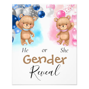 Impression Photo Baby shower Teddy Balloons Révélation de genre