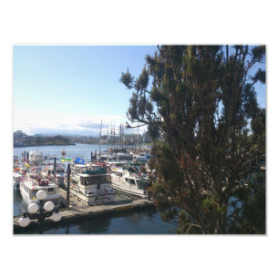 Impression Photo Baie Victoria