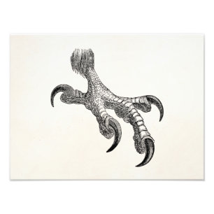 Impression Photo Bald vintage Eagle Claw Oiseaux Personnalisés