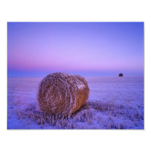 Impression Photo Balles de paille d'hiver près de Cartwright Nord