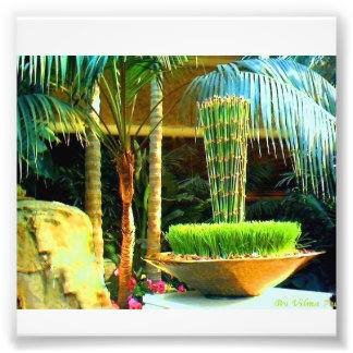 Impression Photo Bambu chinois