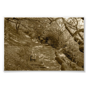Impression Photo Banc boisé à Allan Park, Sowerby Bridge