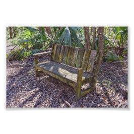 Impression Photo Banc de patiné Park, Dauphin Island