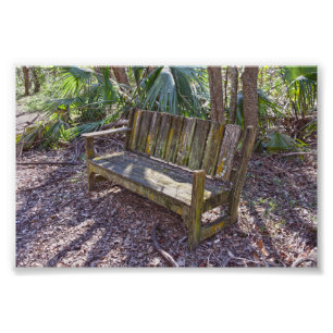 Impression Photo Banc de patiné Park, Dauphin Island