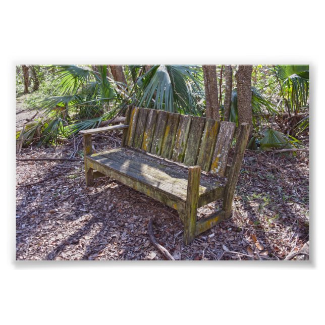 Impression Photo Banc de patiné Park, Dauphin Island (Devant)