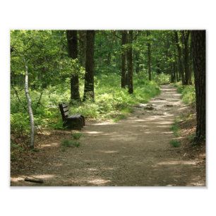 Impression Photo Banc solitaire 10 x épreuve photographique 8