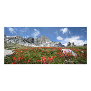 Impression Photo Banner Peak Fleurs sauvages - Ansel Adams Wilderne
