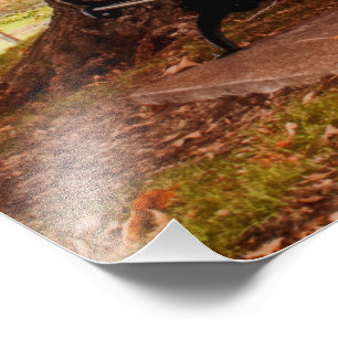 Impression Photo Banquettes du parc Riverside