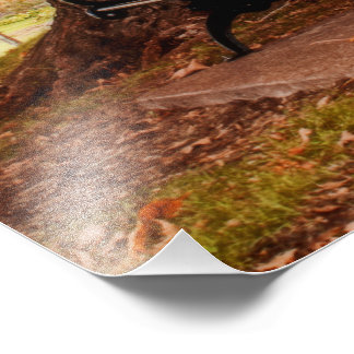 Impression Photo Banquettes du parc Riverside